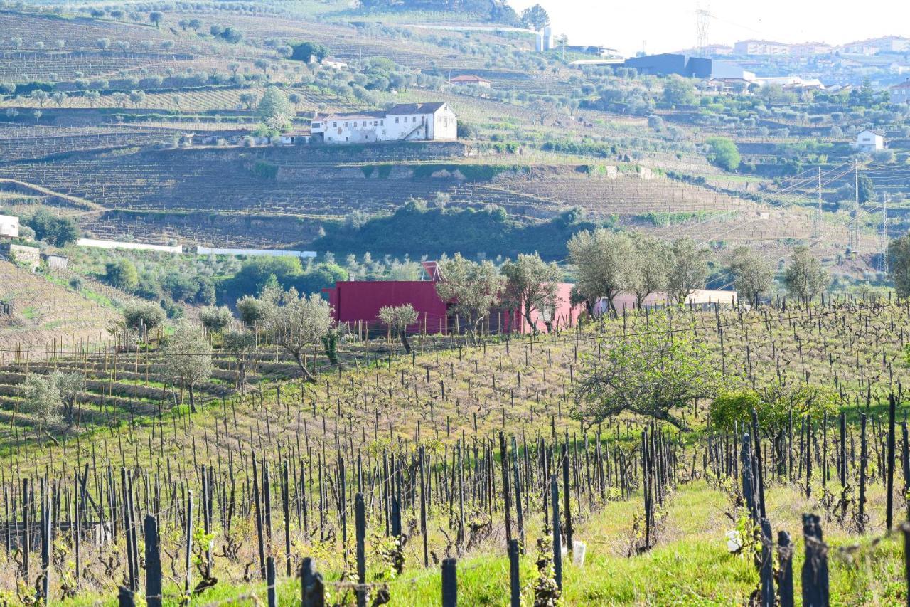 Quinta Dos Padrinhos - Suites In The Heart Of The Douro Lamego Eksteriør billede