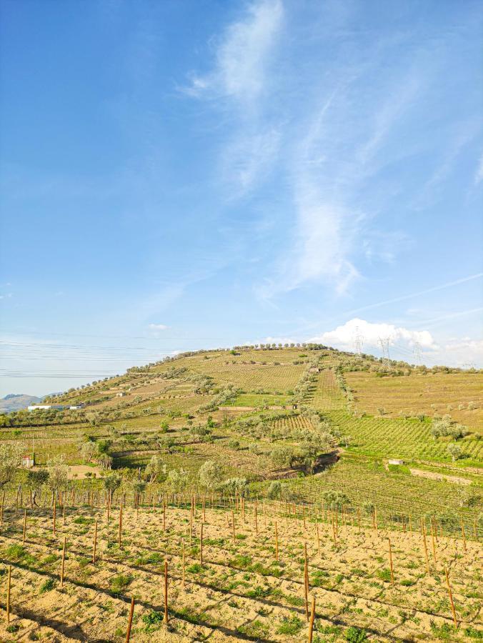Quinta Dos Padrinhos - Suites In The Heart Of The Douro Lamego Eksteriør billede