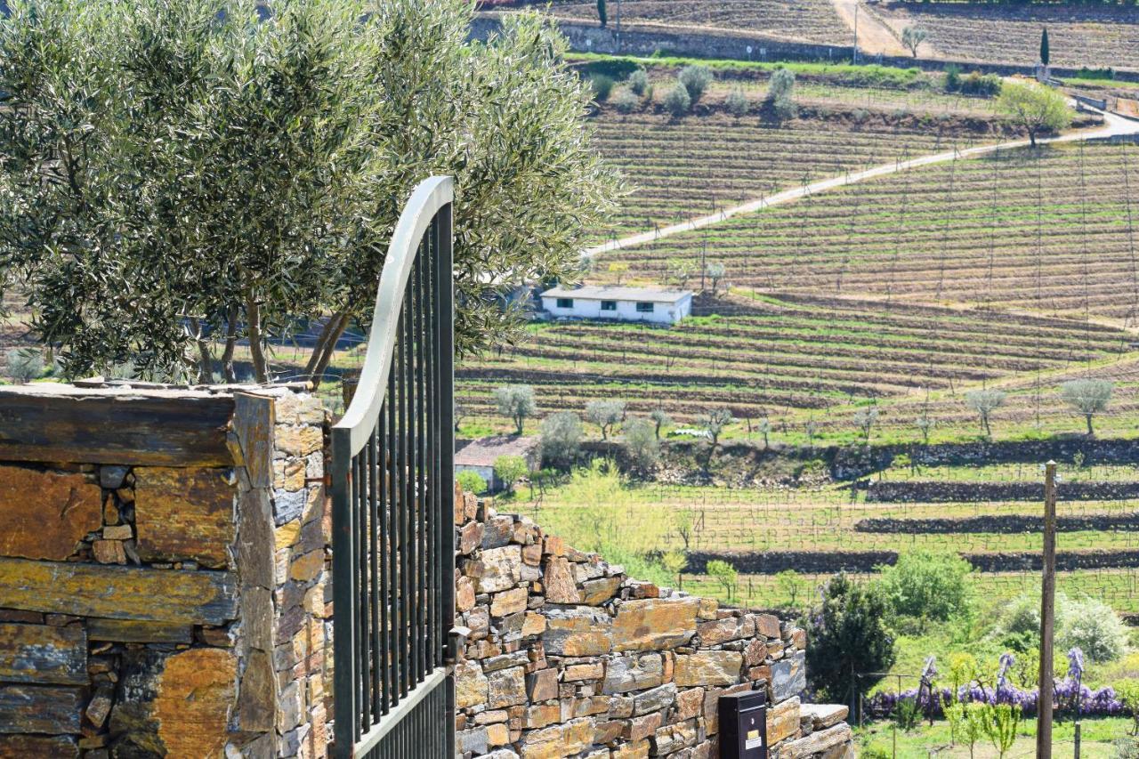 Quinta Dos Padrinhos - Suites In The Heart Of The Douro Lamego Eksteriør billede