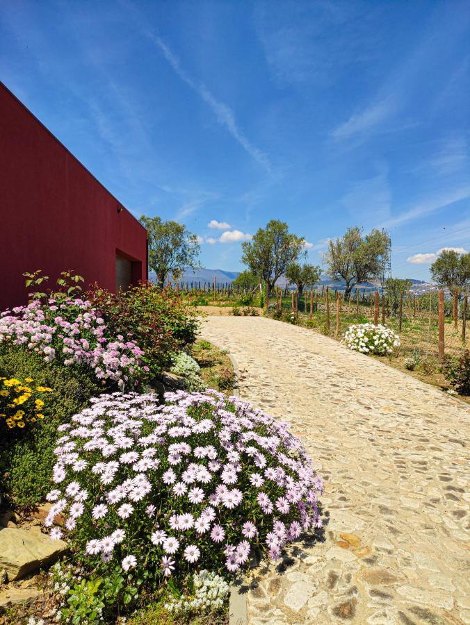 Quinta Dos Padrinhos - Suites In The Heart Of The Douro Lamego Eksteriør billede