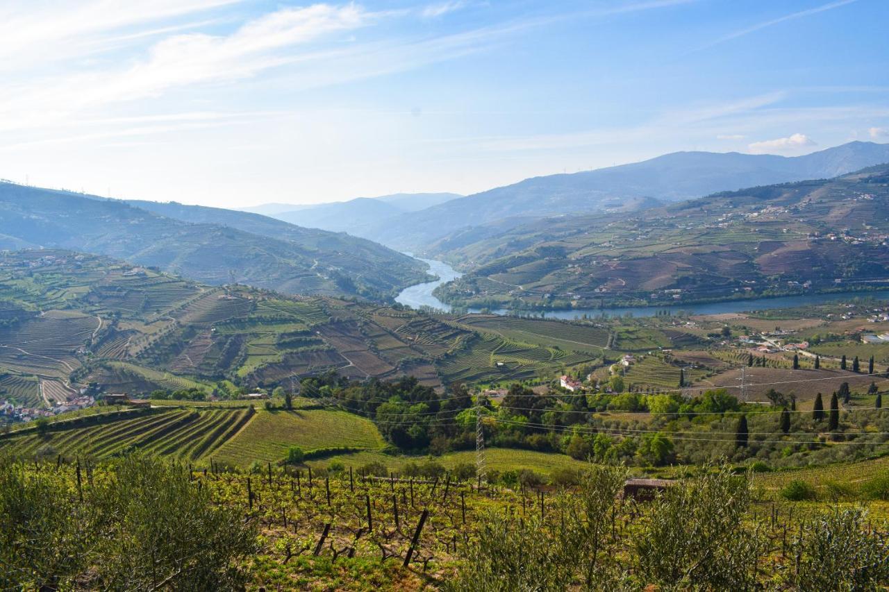 Quinta Dos Padrinhos - Suites In The Heart Of The Douro Lamego Eksteriør billede