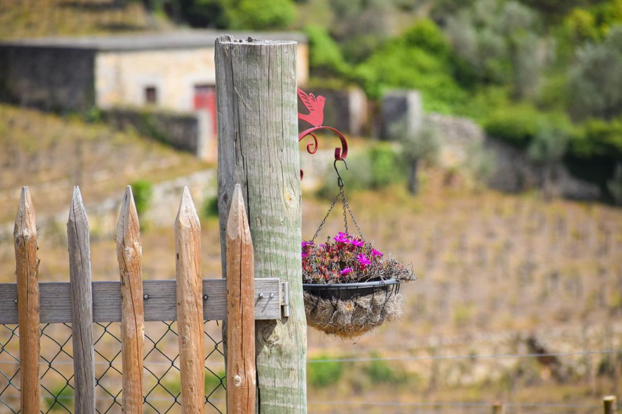 Quinta Dos Padrinhos - Suites In The Heart Of The Douro Lamego Eksteriør billede