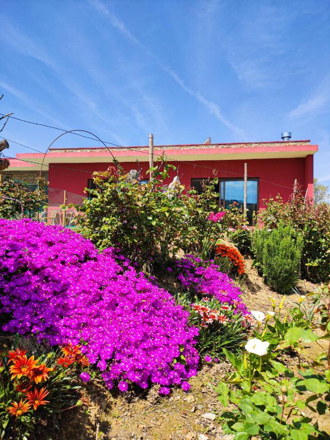 Quinta Dos Padrinhos - Suites In The Heart Of The Douro Lamego Eksteriør billede