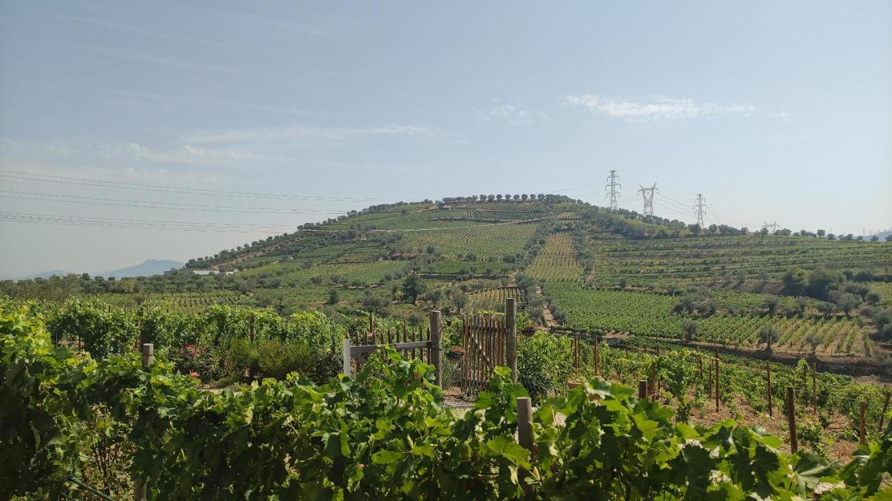 Quinta Dos Padrinhos - Suites In The Heart Of The Douro Lamego Eksteriør billede