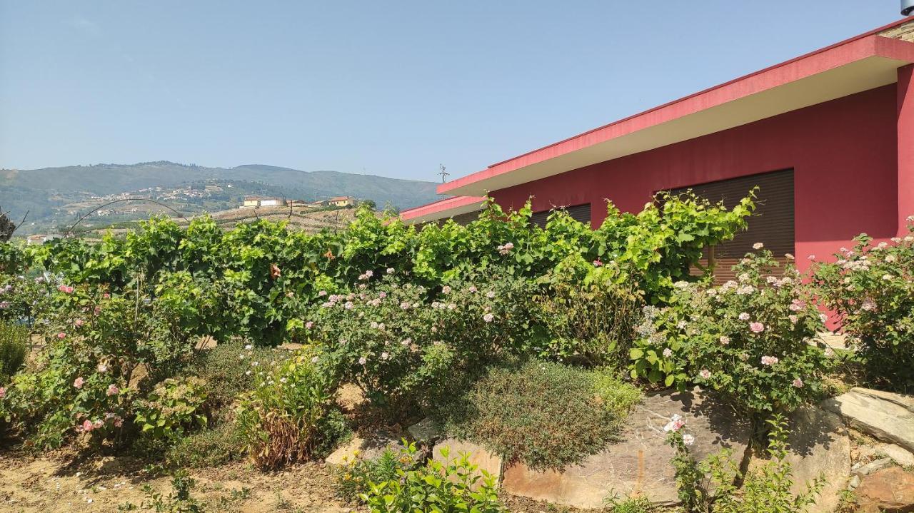 Quinta Dos Padrinhos - Suites In The Heart Of The Douro Lamego Eksteriør billede