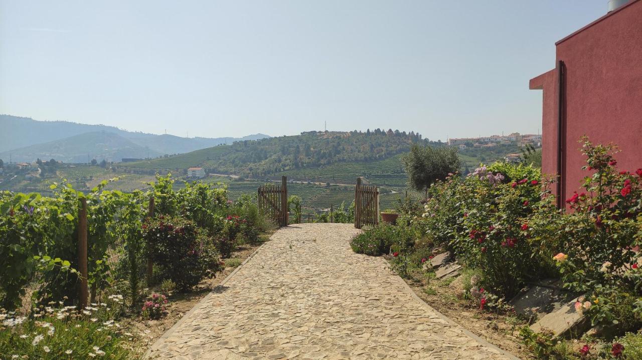 Quinta Dos Padrinhos - Suites In The Heart Of The Douro Lamego Eksteriør billede