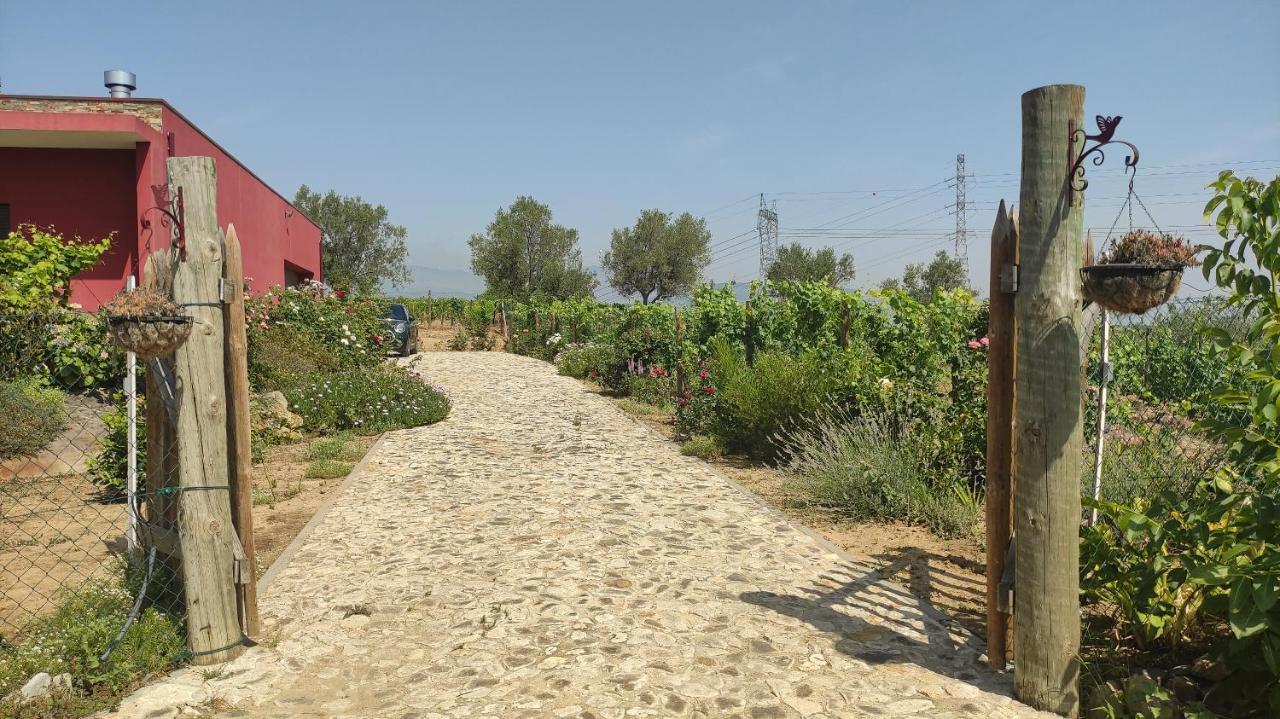 Quinta Dos Padrinhos - Suites In The Heart Of The Douro Lamego Eksteriør billede