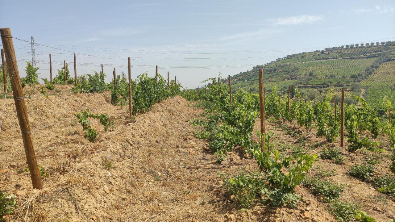 Quinta Dos Padrinhos - Suites In The Heart Of The Douro Lamego Eksteriør billede