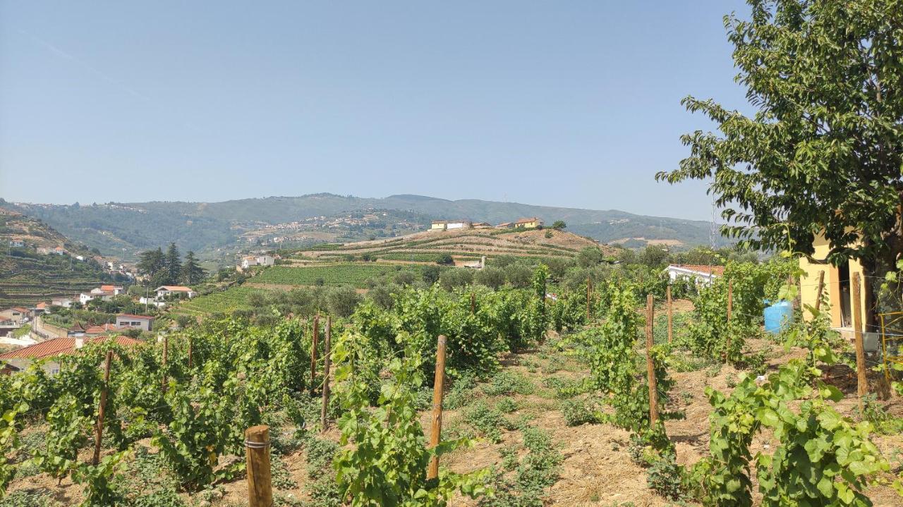 Quinta Dos Padrinhos - Suites In The Heart Of The Douro Lamego Eksteriør billede