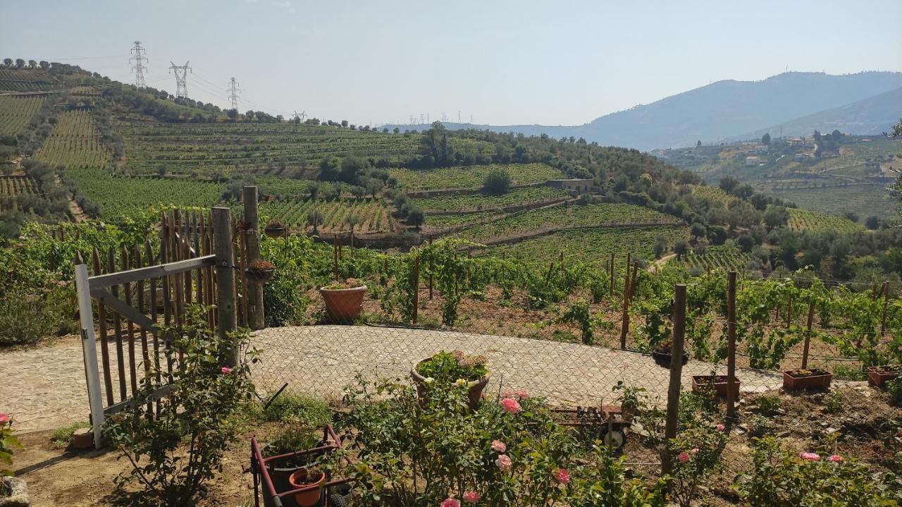 Quinta Dos Padrinhos - Suites In The Heart Of The Douro Lamego Eksteriør billede